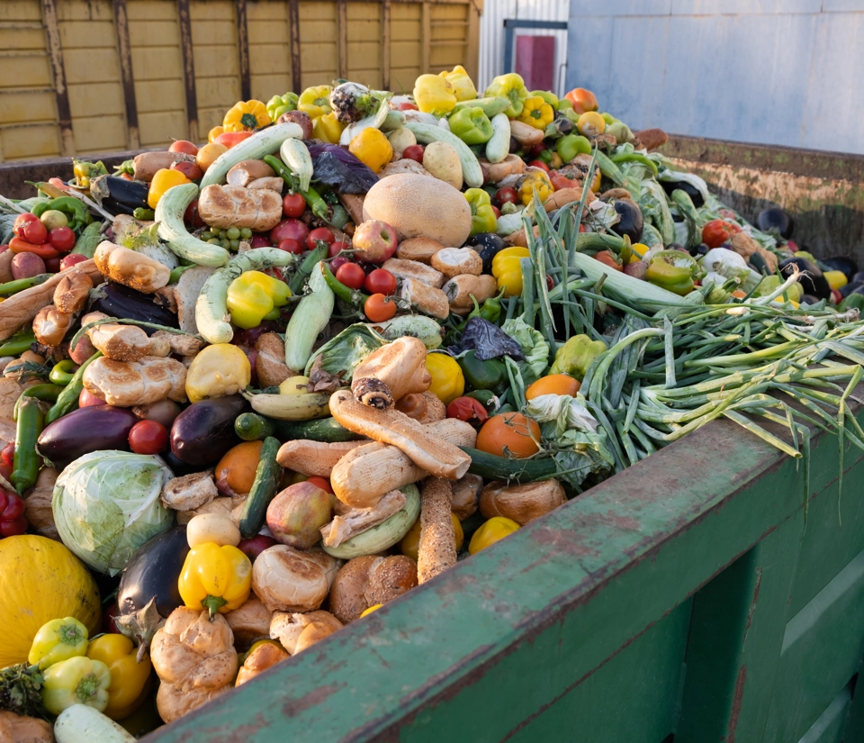 Gettyimages 1425232352